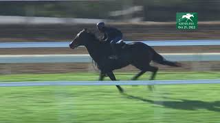 Campanelle Works at Keeneland 10212022 [upl. by Nniuq]