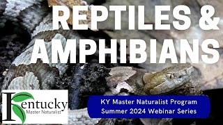 Reptiles and Amphibians [upl. by Assereht]