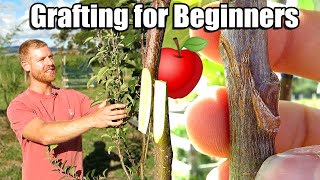 Apple Tree Grafting For Beginners  Learn How To Graft  Includes 6 Months of Updates [upl. by Guido]