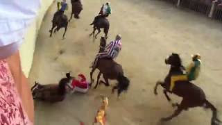 Palio di Siena 2016 crash [upl. by Akirdnuhs904]