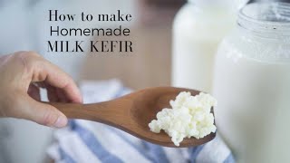 How to Make Milk Kefir [upl. by Elke]