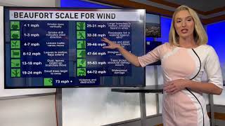 Wind strength explained using the Beaufort Wind Scale [upl. by Anidem]