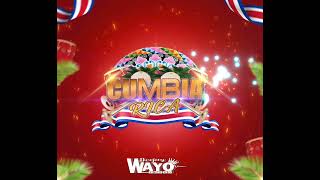 MIX CUMBIAS  COSTA RICA 2022 DJ WAYO [upl. by Avilla]