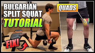 How to do the BULGARIAN SPLIT SQUAT  2 Minute Tutorial [upl. by Dewhurst392]