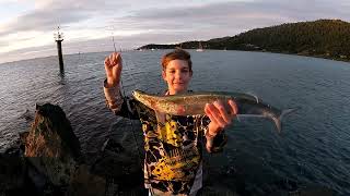 Fishing in Airlie Beach For Mackerel Catch and Cook [upl. by Howlyn]