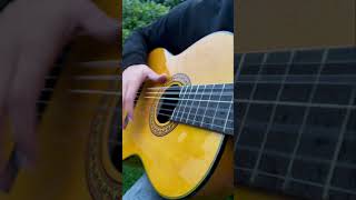 It’s crazy flamenco guitar [upl. by Roddy]