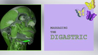 Massaging the Digastric [upl. by Olnay]