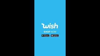 Virtual shopping spree with ItsYeBo amp ChadwithaJ on the Wish App [upl. by Fusco456]