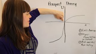 Prospect Theory An Overview [upl. by Berstine335]