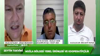 MUĞLA BÖLGESİ YEREL ÜRÜNLERİ VE KOOPERATİFÇİLİK  ZEYTİN TAKVİMİ [upl. by Isla]