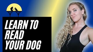 How To Pick Up And Carry Your Dog Like A Pro Vet Demo [upl. by Artemus]