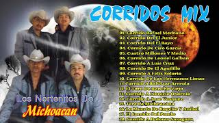 18 Exitos Los Nortenitos De Michoacan  Puros Corridos Mix [upl. by Nirda822]