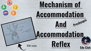 Accommodation Of Eye  Accommodation Reflex  Presbyopia  Special Senses Physiology [upl. by Rasia]