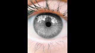 top 10 grey eye facts [upl. by Elvera]