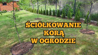 KORA SOSNOWA W OGRODZIE Robimy klomby z obrzeży trawnika agrowłókniny i kory sosnowej Vlog xyz [upl. by Siusan]