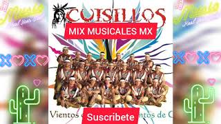 Banda Cuisillos Cumbias Mix [upl. by Ailesor]