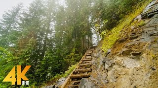 4K Virtual Walk through Beautiful Mountain Forest  Fascinating Comet Falls Mt Rainier Area [upl. by Aroc416]