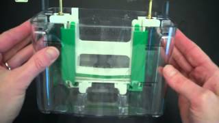 SDS PAGE Part 1 Assembly and Electrophoresis [upl. by Euqinotna91]