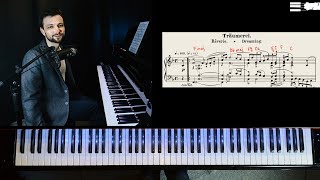 Schumann Träumerei  TutorialAnalysis [upl. by Esdnyl]