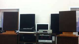 Bertagni Elecroacoustic Systems BES SM250 [upl. by Yalahs788]