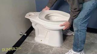 How to Fix a Leaky Toilet For Dummies [upl. by Waylin74]