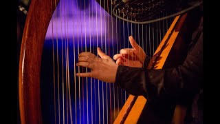 Achill International Harp Festival  A Short Clip [upl. by Waddle]