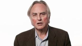 Richard Dawkins Faith  Big Think [upl. by Etra187]