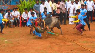 அலங்கை போட்டோகிராபி நண்பர்கள் ராஜாக்கள்பட்டி வடமஞ்சுவிரட்டில் Alangai Photography [upl. by Nawaj]