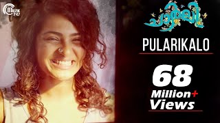 Charlie  Pularikalo Song Video  Dulquer Salmaan Parvathy  Official [upl. by Mylan]