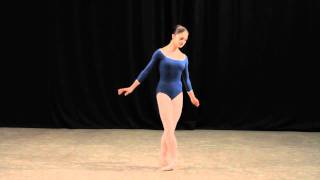 Insight Ballet Glossary  Arabesques [upl. by Hsivat593]