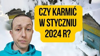 Czy dokarmiać pszczoły w styczniu 2024 [upl. by Debra]