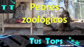 Top 5 Peores zoológicos [upl. by Alroi]