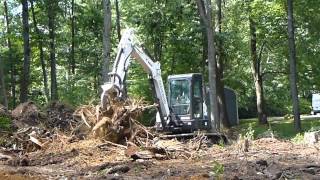 Mini Excavator Pulling Stumps With Ripper [upl. by Ymer]