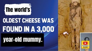 The worlds oldest cheese was found in a 3000yearold mummy [upl. by Eshman]