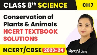 NCERT Class 8 Science Chapter 7 Questions and Answers  Conservation of Plants and Animals [upl. by Soni723]