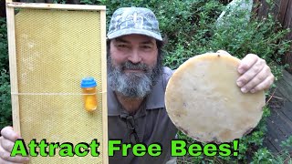 How To Attract Bees To Your Bee Box [upl. by Alyk]