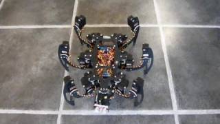 MSRH01 Hexapod Black  PT Head  Test 01 [upl. by Erised980]