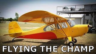 Flying the 1946 Aeronca 7AC Champ [upl. by Ahsinat]