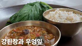 강된장과 우엉잎  고향의 맛 [upl. by Nedrob]