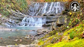 Sounds Of A Waterfall 12 Hours of White Noise For Deep Sleep Meditation and Relaxation [upl. by Marek203]