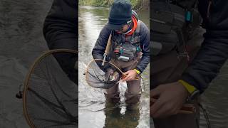 Catching rainbow 🌈 trout creek fishing [upl. by Mateusz]