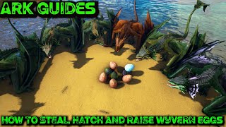 The Ultimate Guide To Stealing Wyvern Eggs AND How To Hatch And Raise Them  Ark Guides [upl. by Ifen]