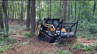 ASV RT135 Forestry Mulching [upl. by Notniv]