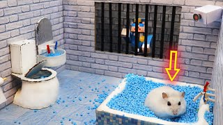 🐹Hamster Escapes the Awesome 5Star Luxury Prison Maze with Bathtub🐹 for Pets in real life [upl. by Arakihc313]