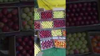 Shimla fruit stallapple fruit [upl. by Mairym]