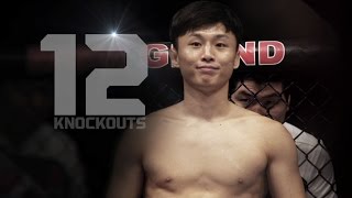 UFC 206 Dooho Choi  The Korean Superboy [upl. by Odlanir588]