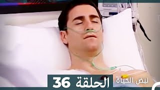 نبض الحياة  الحلقة 36 Nabad Alhaya [upl. by Aliuqat]