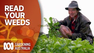 Read your weeds  Gardening 101  Gardening Australia [upl. by Norty675]