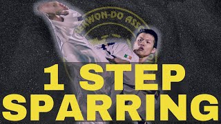 One Step Sparring  TaekwonDo ITF [upl. by Marin]