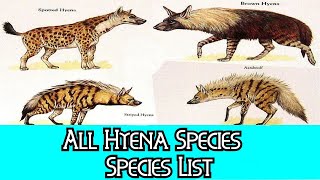 All Hyena Species  Species List [upl. by Thomey812]